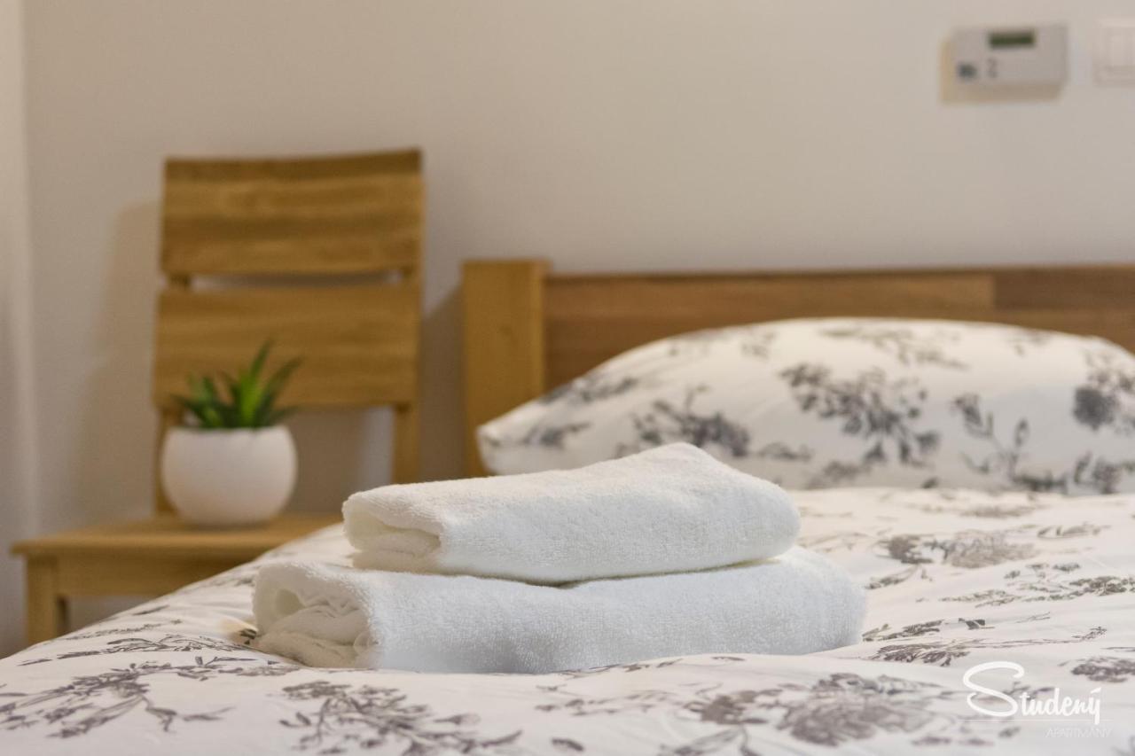 Apartmany Studeny Kunratice  Экстерьер фото